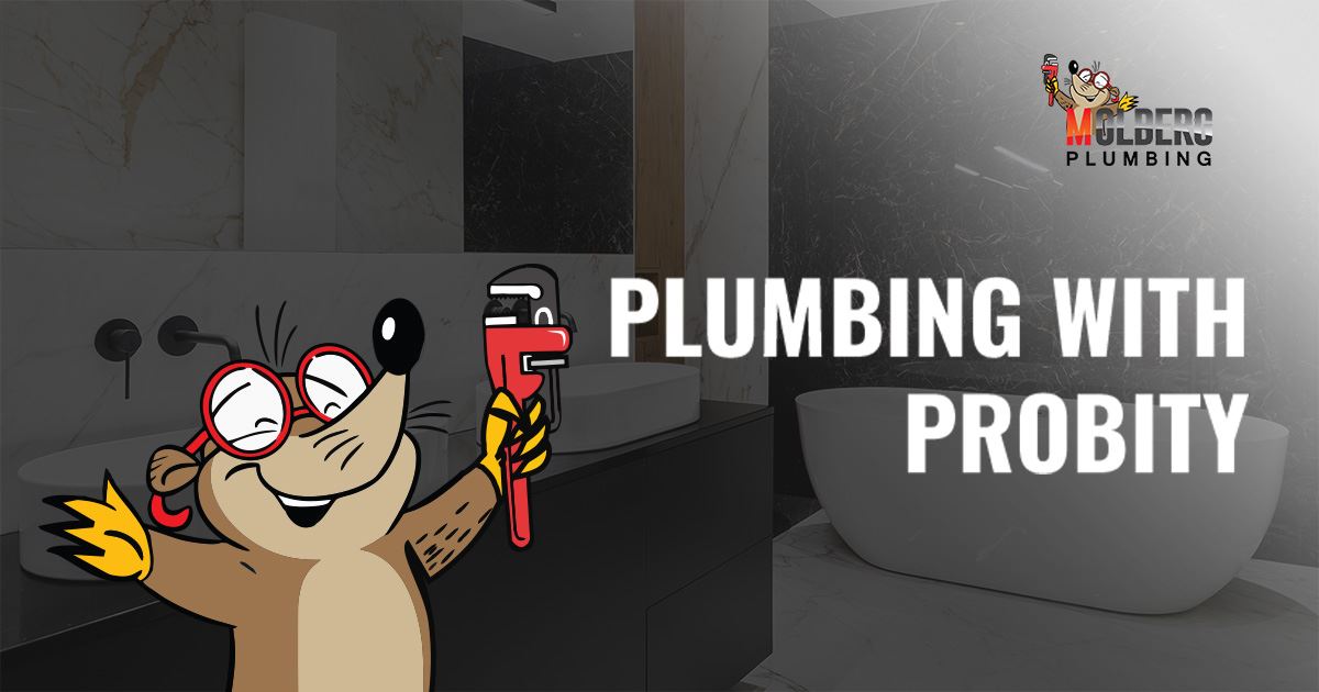 FEBRUARY 2026 FIND NEARBY PLUMBERS REVIEWS visual data 8