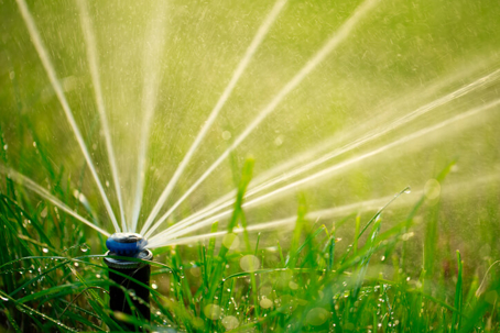 Irrigation sprinkler spraying water on green grass