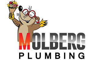 Molberg Plumbing